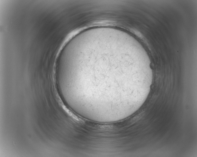 X0000078881421200612042012