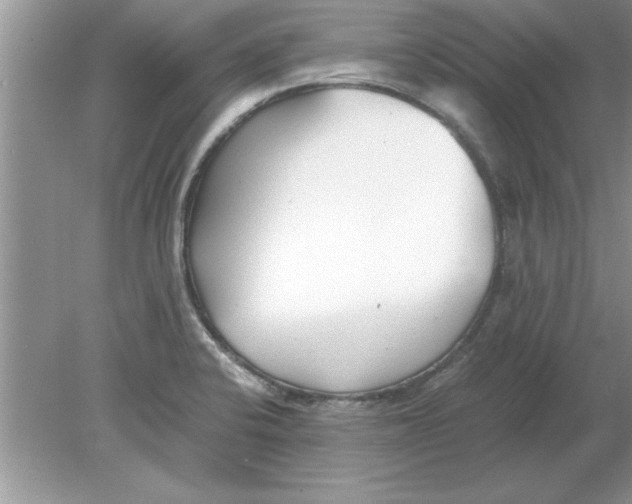 X0000078881424200612042012