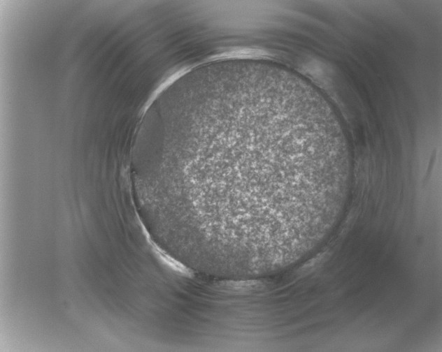 X0000078881425200612042012