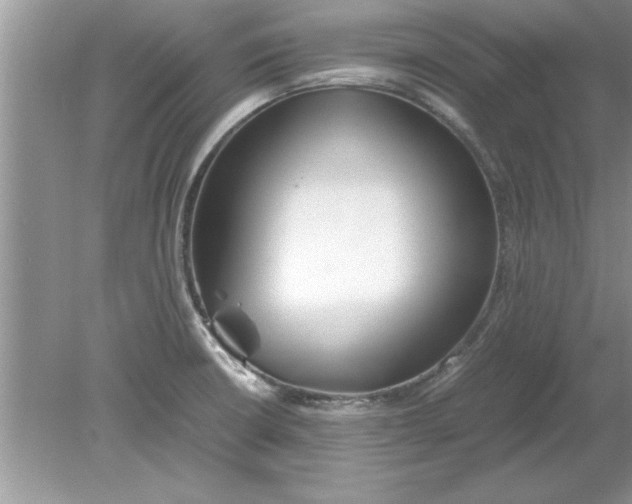 X0000078881426200612042012