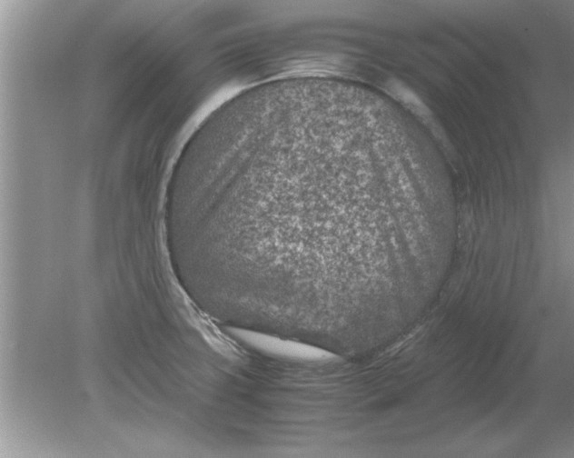 X0000078881427200612042012