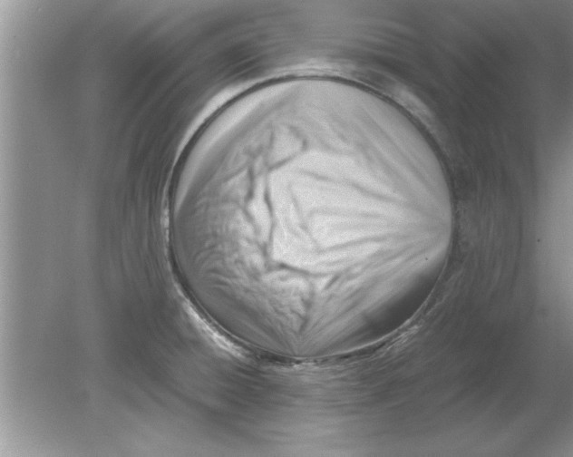 X0000078881428200612042012