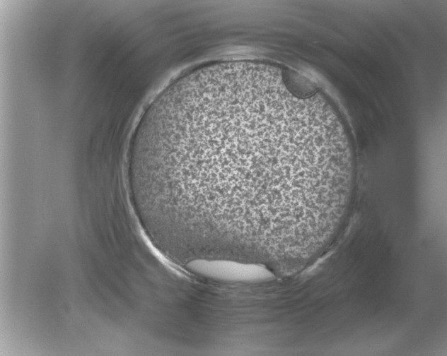 X0000078881429200612042012