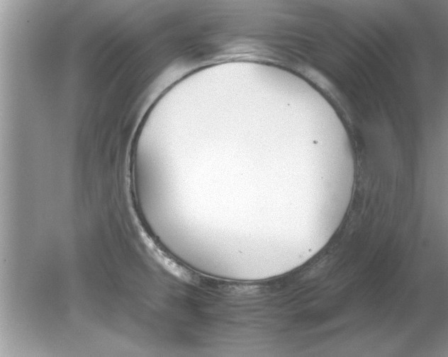 X0000078881431200612042012