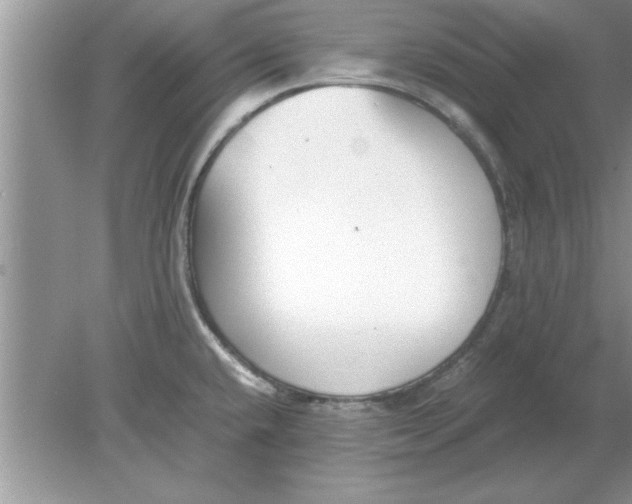 X0000078881432200612042012