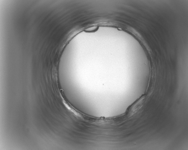 X0000078881433200612042012