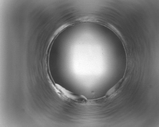 X0000078881434200612042012