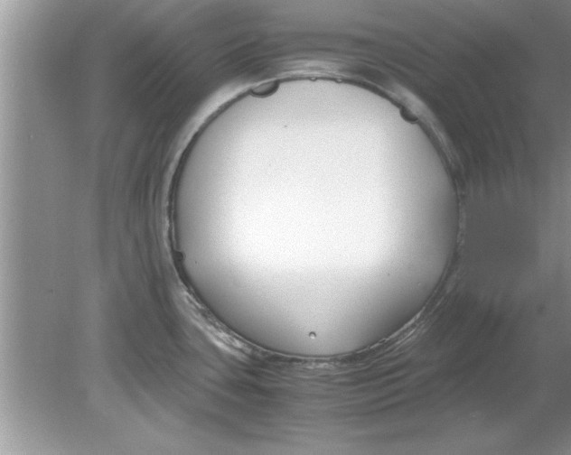 X0000078881435200612042012