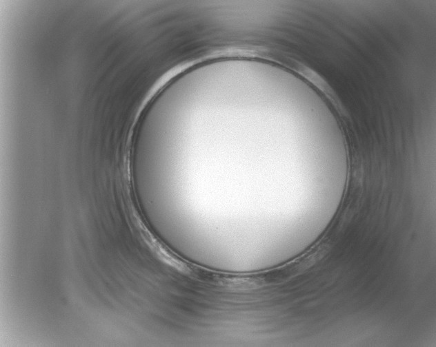 X0000078881436200612042012