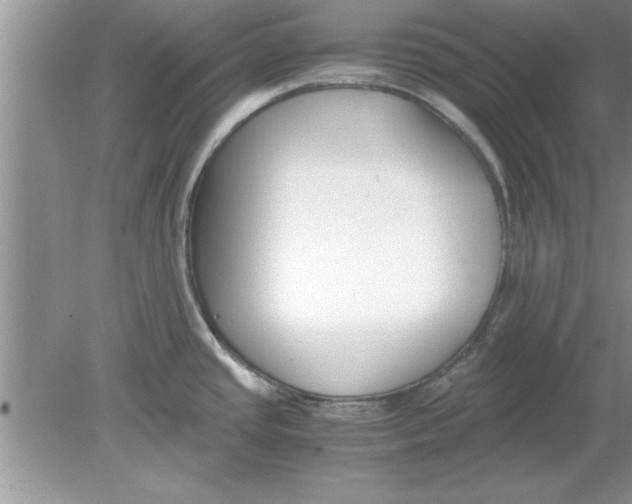 X0000078881437200612042013