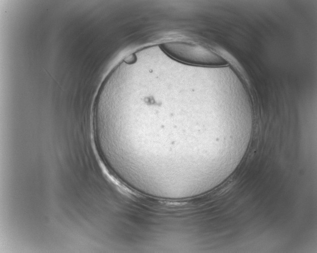 X0000078881439200612042013