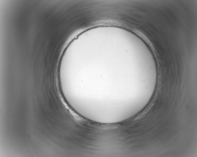 X0000078881440200612042013