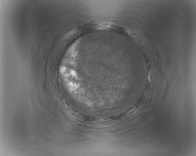 X0000078881441200612042012