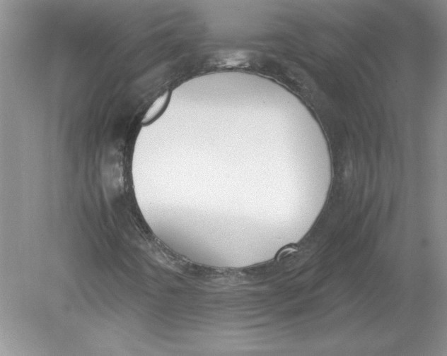 X0000078881442200612042012