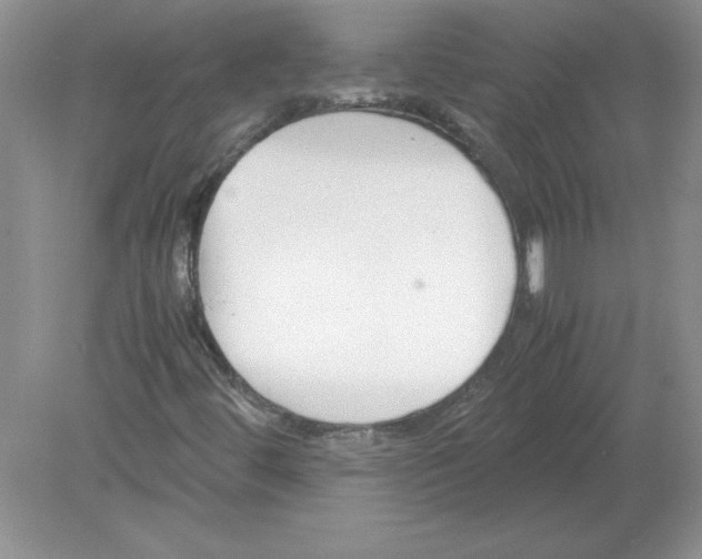 X0000078881444200612042012