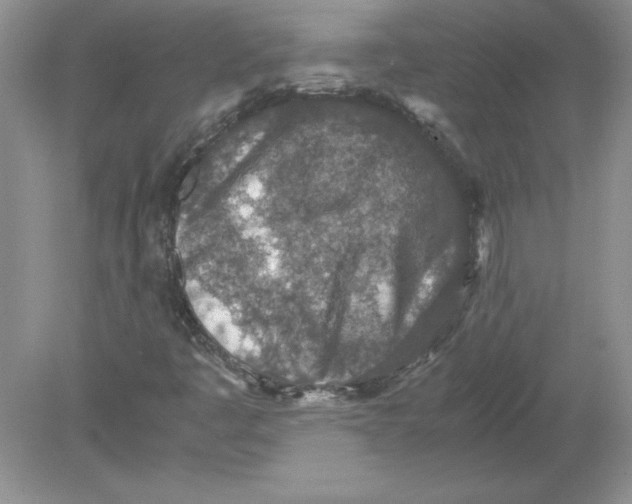 X0000078881445200612042012