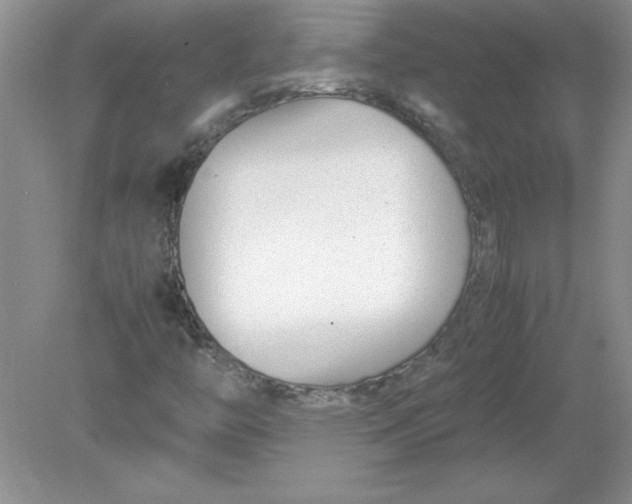 X0000078881446200612042012