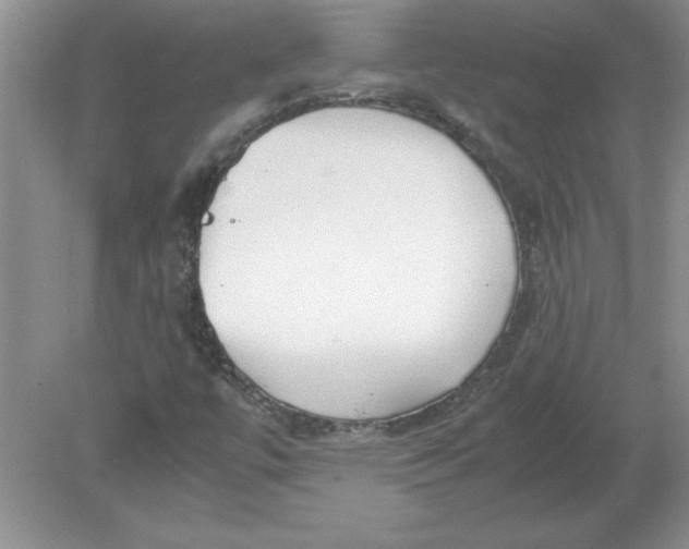 X0000078881447200612042012