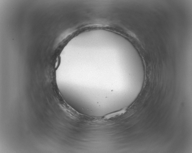 X0000078881448200612042012