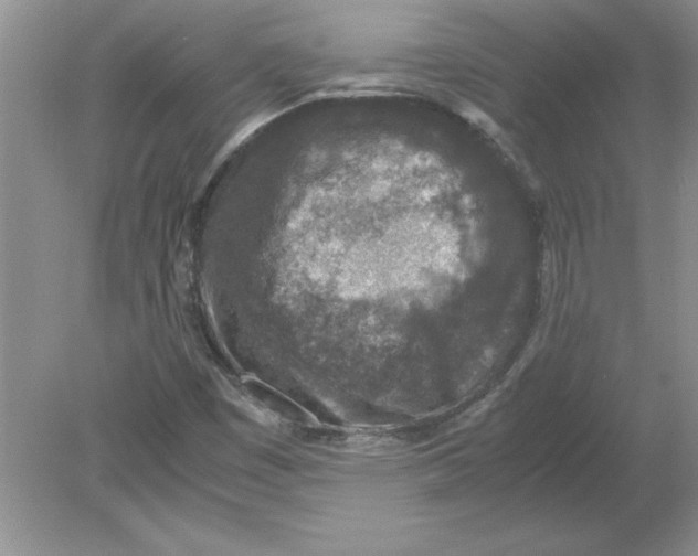 X0000078881449200612042012