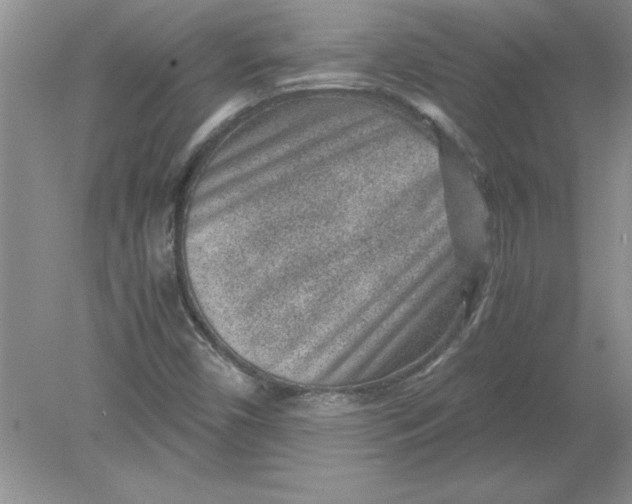 X0000078881450200612042012