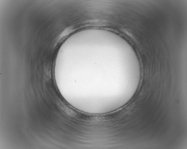 X0000078881451200612042012