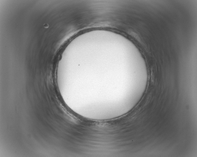 X0000078881452200612042012