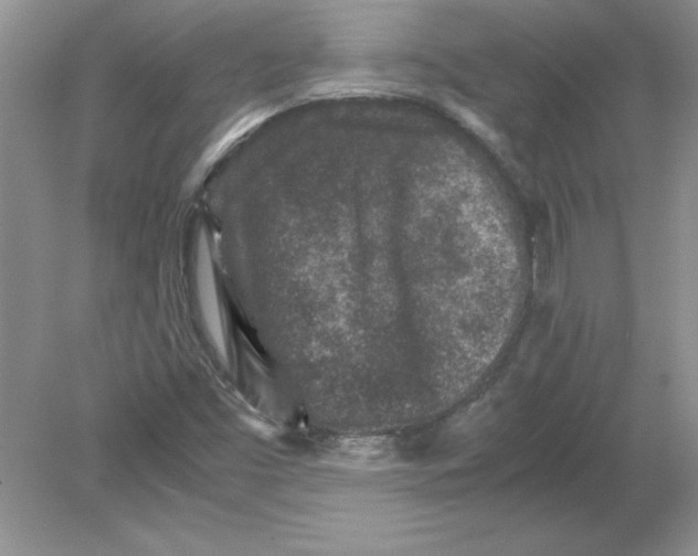 X0000078881453200612042012