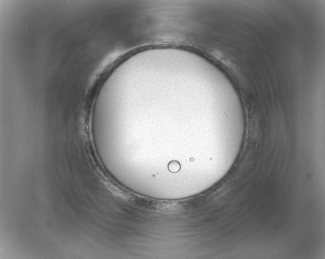 X0000078881454200612042012