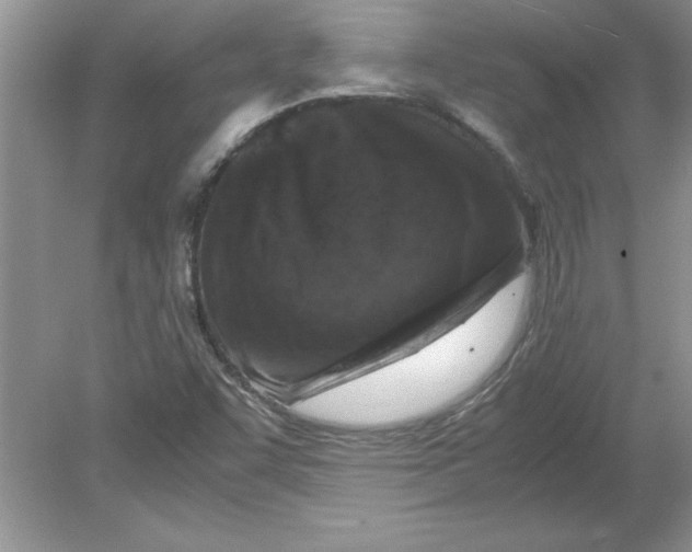 X0000078881455200612042012