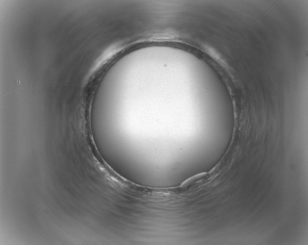 X0000078881456200612042011