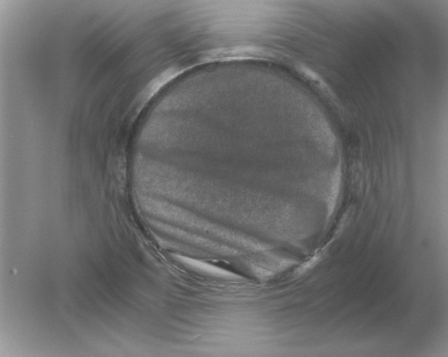 X0000078881457200612042011