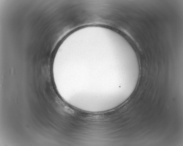 X0000078881460200612042011