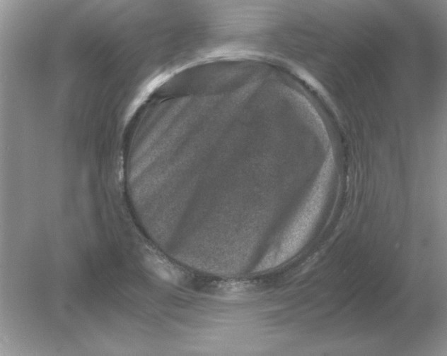 X0000078881461200612042011