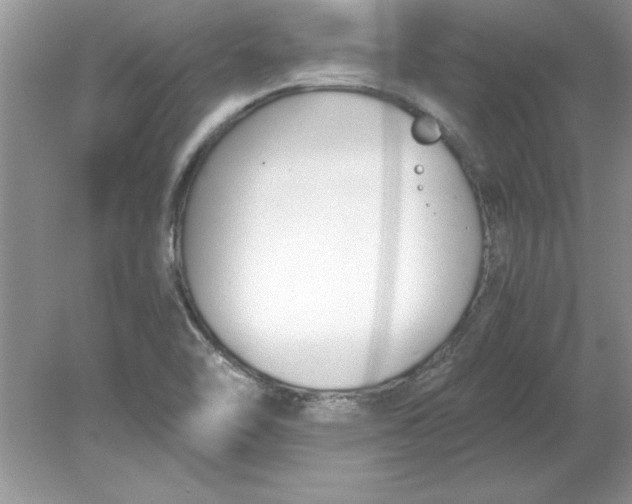 X0000078881462200612042011