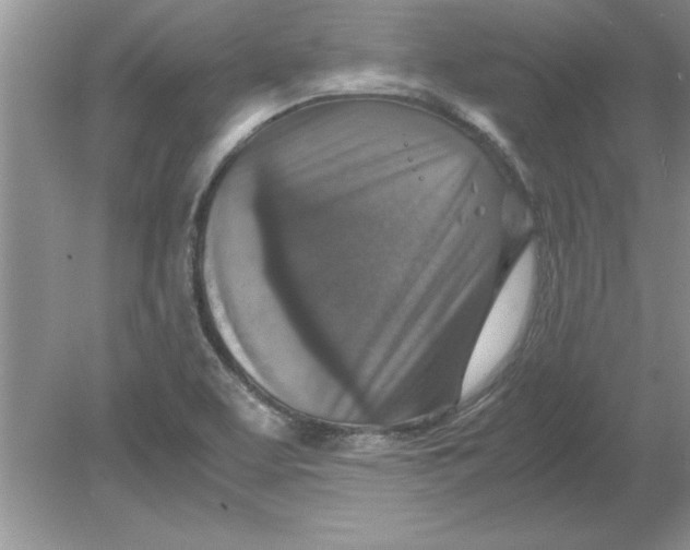 X0000078881463200612042011