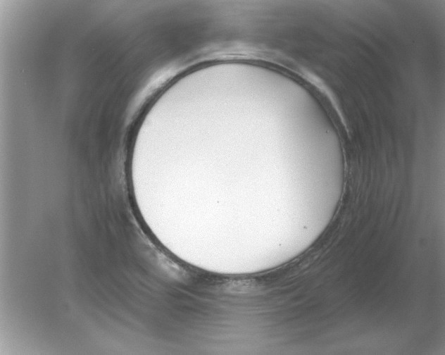 X0000078881464200612042011