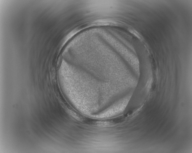 X0000078881465200612042011