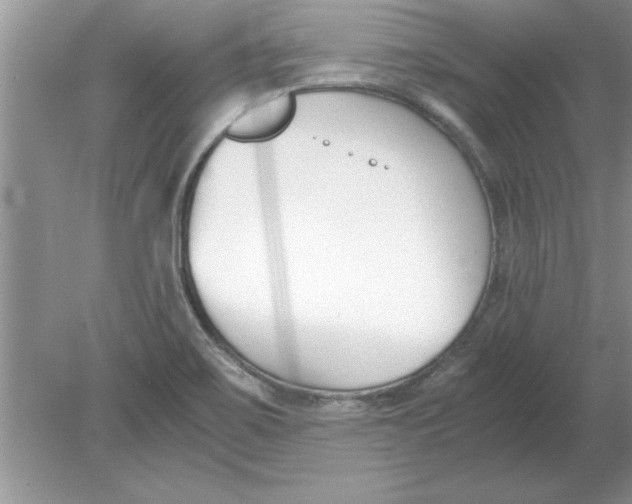 X0000078881467200612042011