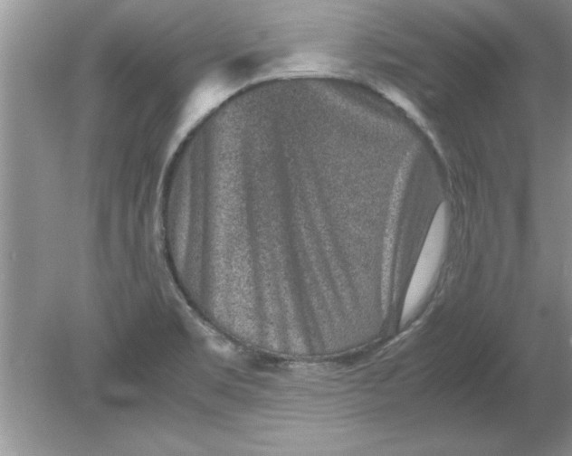 X0000078881469200612042011