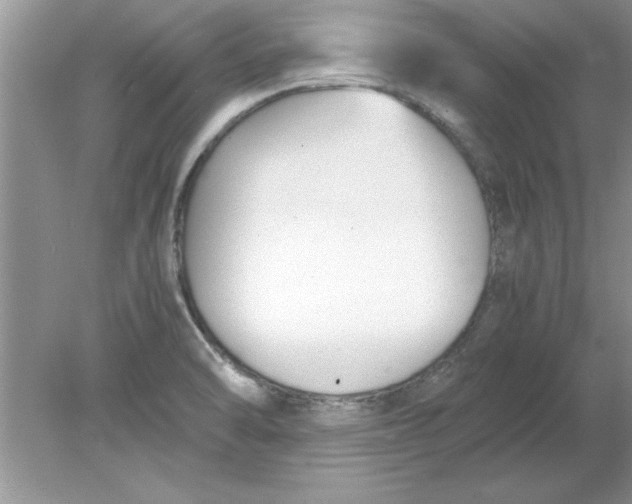 X0000078881470200612042011