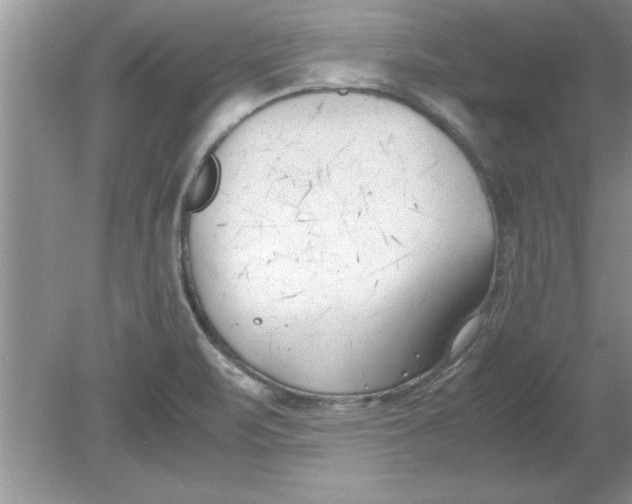 X0000078881471200612042011