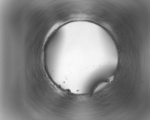 X0000078881472200612042011