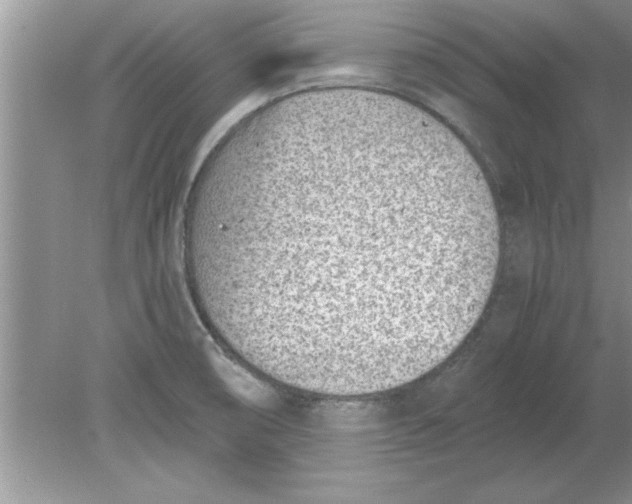 X0000078881474200612042011