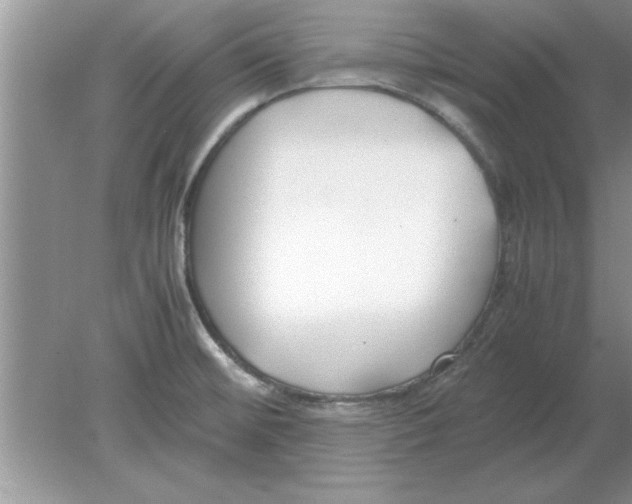 X0000078881476200612042011