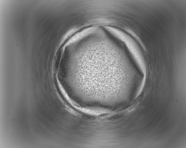 X0000078881477200612042011