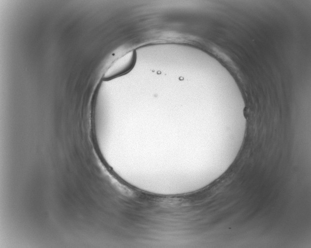 X0000078881479200612042011