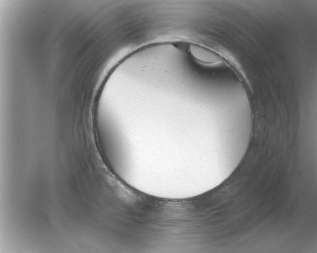 X0000078881480200612042011