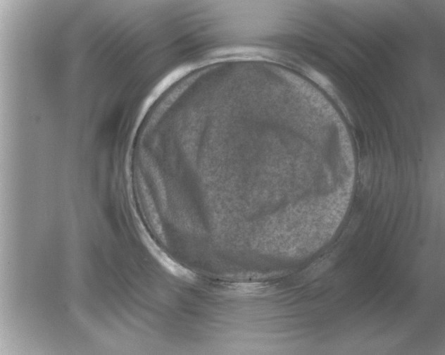 X0000078881482200612042011