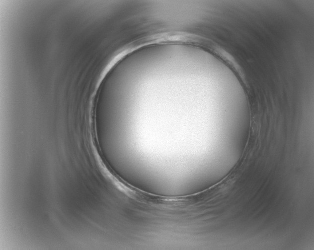 X0000078881483200612042011